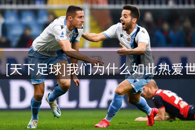 [天下足球]我们为什么如此热爱世界杯？